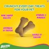 Pedigree Biscrok Biscuits for Dogs (Above 4 months) - Milk and Chicken Flavor