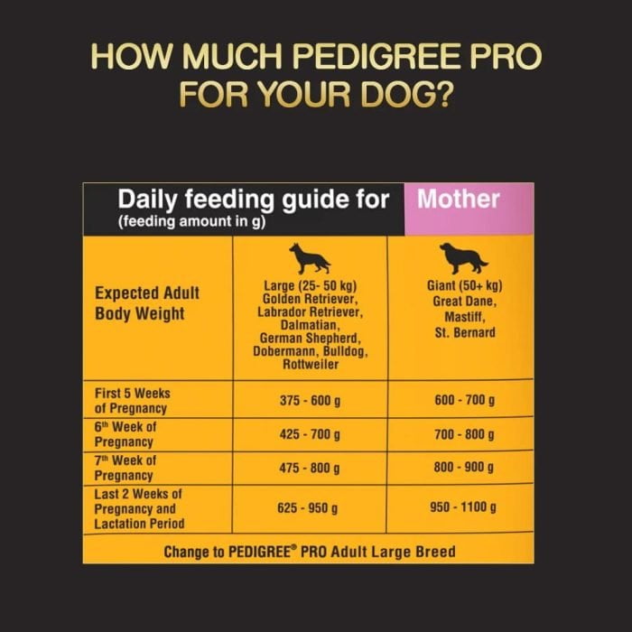 Pedigree PRO Expert Nutrition Lactating/Pregnant Mother and Puppy Starter (3-12 Weeks) Large Breed Dog Dry Food