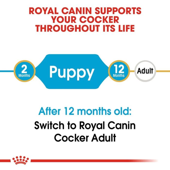 Royal Canin Cocker Puppy Dry Food - 3 kg