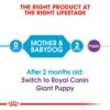 Royal Canin Giant Starter Puppy Dry Food