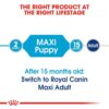 Royal Canin Maxi Breed Junior Puppy Dry Food