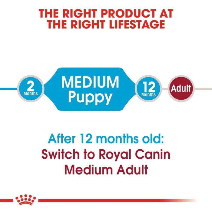 Royal Canin Medium Junior Puppy Dry Food