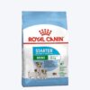 Royal Canin Mini Starter Puppy Dry Food
