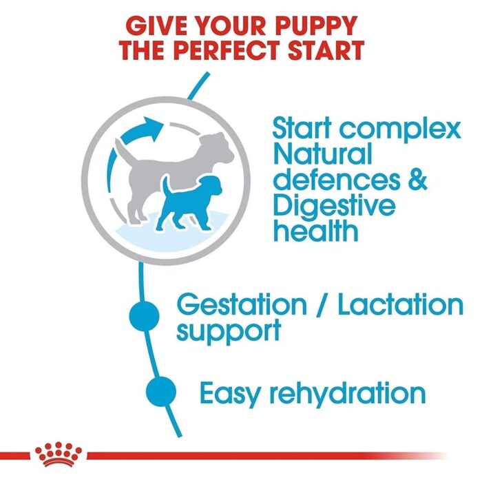 Royal Canin Mini Starter Puppy Dry Food