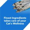 Drools Ocean Fish Adult Dry Cat Food