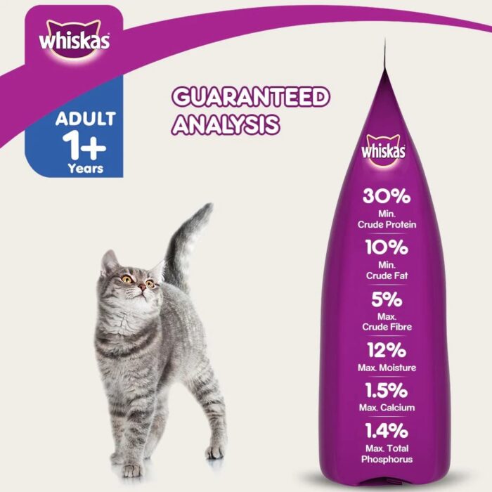Whiskas Chicken & Salmon Adult Cat Dry Food For Healthy Skin & Coat