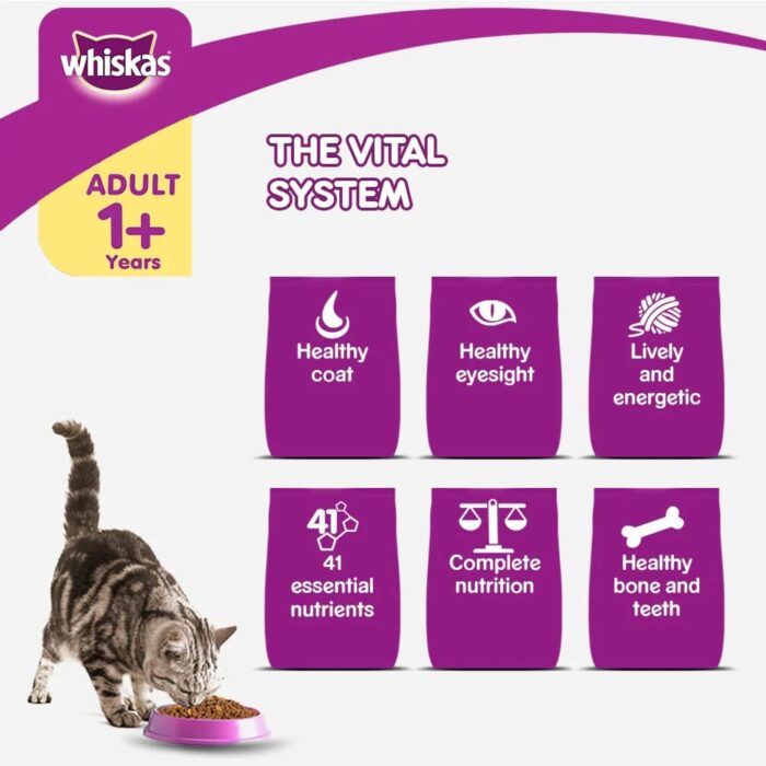 Whiskas Grilled Saba Adult Cat Dry Food