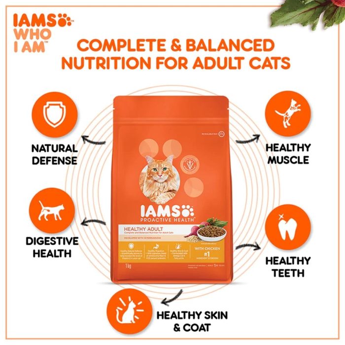 IAMS Proactive Health Adult (1+ Years) with Chicken Dry Premium Cat Food