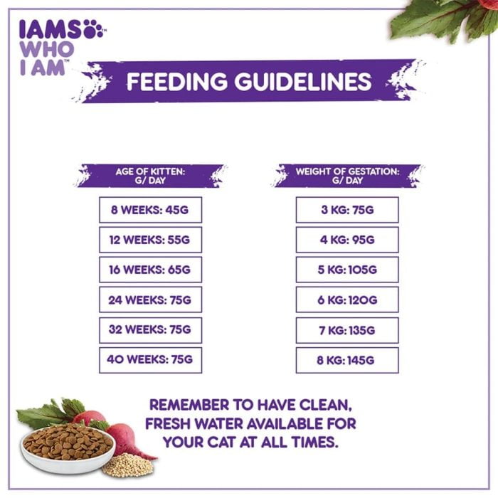 IAMS Proactive Health Mother & Kitten (2-12 Months) Chicken Dry Premium Cat Food
