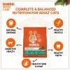 IAMS Proactive Healthy Adult (1+ Years) Chicken & Salmon Meal Dry Premium Cat Food