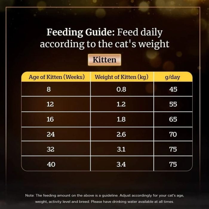 Sheba Chicken Flavour Kitten & Adult Cat Dry Food