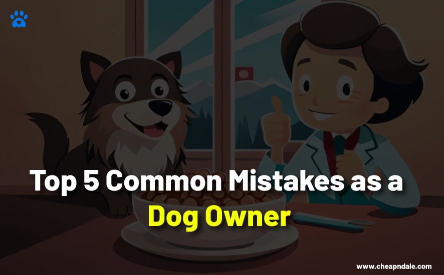 Top 5 Common Mistakes as a Dog Owner