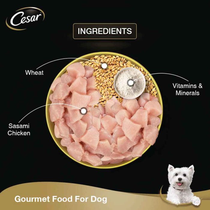 Cesar-Adult-Sasami-Dog-Wet-Food-70g