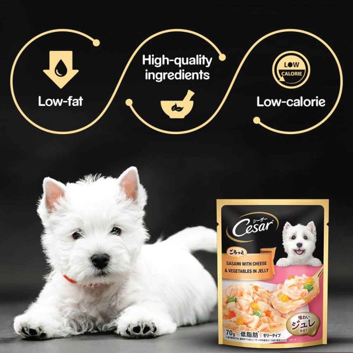 Cesar-Sasami-with-Cheese-&-Vegetables-in-Jelly-Adult-Dog-Wet-Food-70g